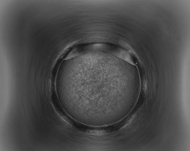 X0000085750444200703231136