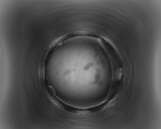 X0000085750446200703231136