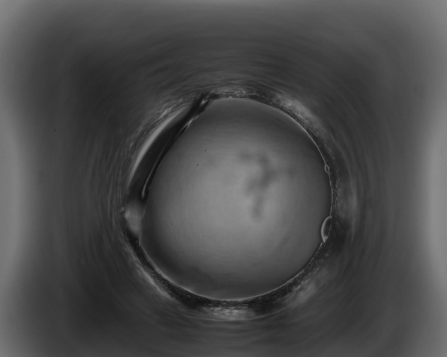 X0000085750449200703231136