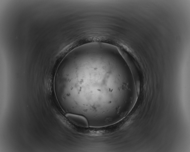 X0000085750450200703231136