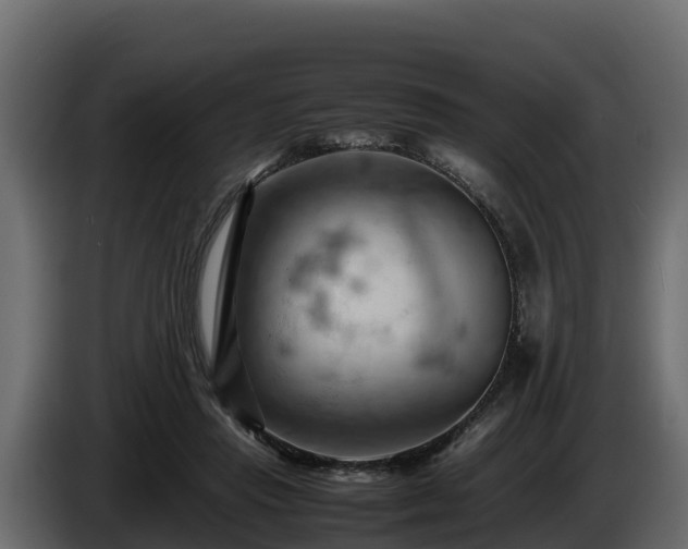 X0000085750453200703231136