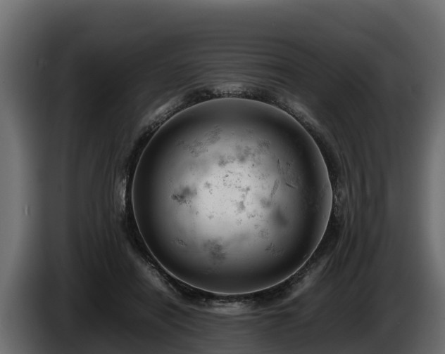 X0000085750454200703231136