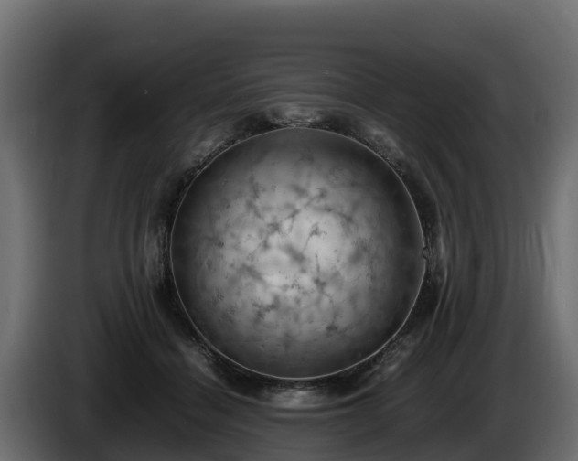 X0000085750460200703231136