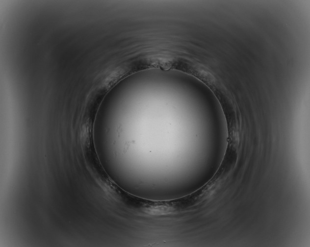 X0000085750468200703231136
