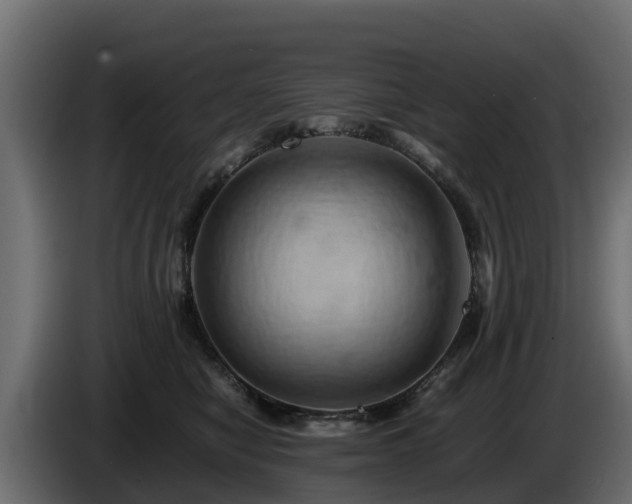 X0000085750470200703231136