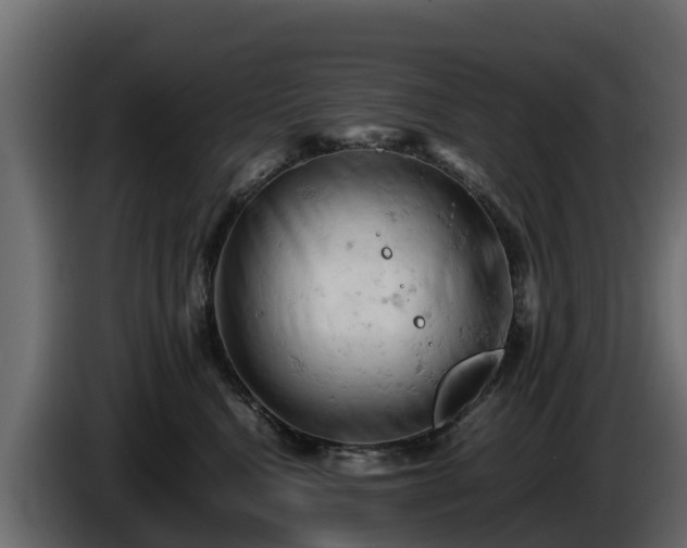X0000085750472200703231136