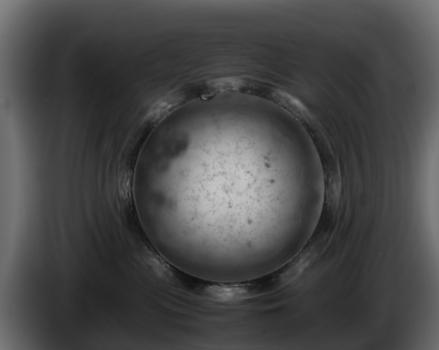 X0000085750477200703231136