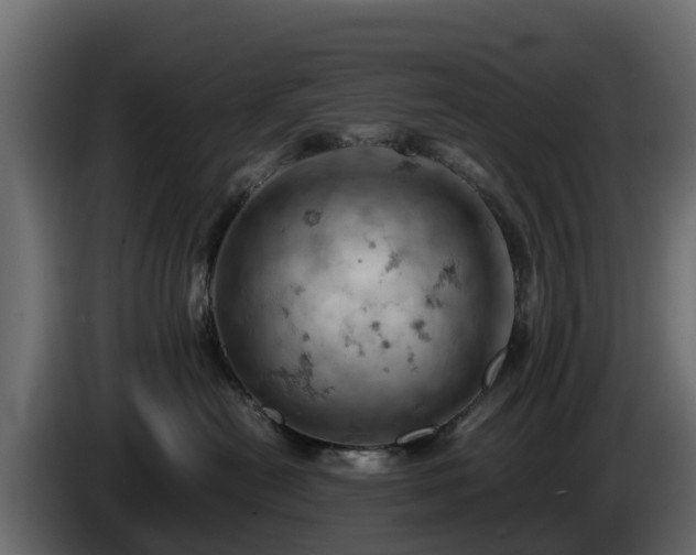 X0000085750478200703231136