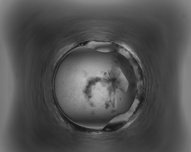 X0000085750481200703231136
