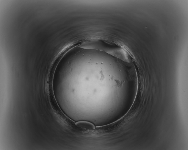 X0000085750482200703231136