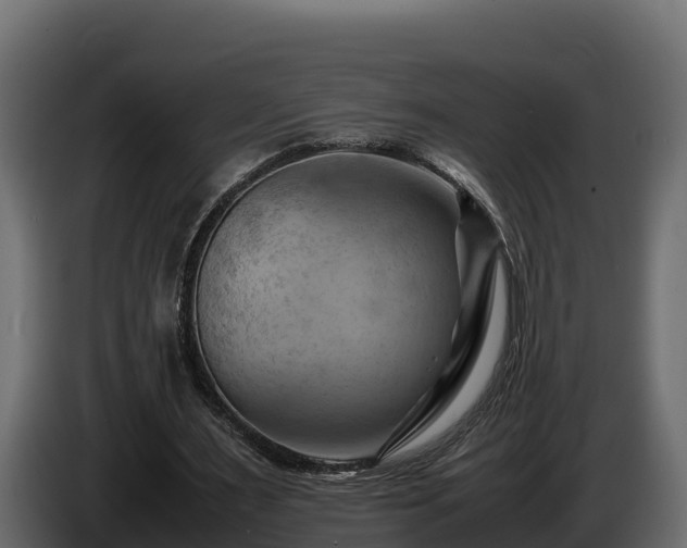 X0000085750483200703231136
