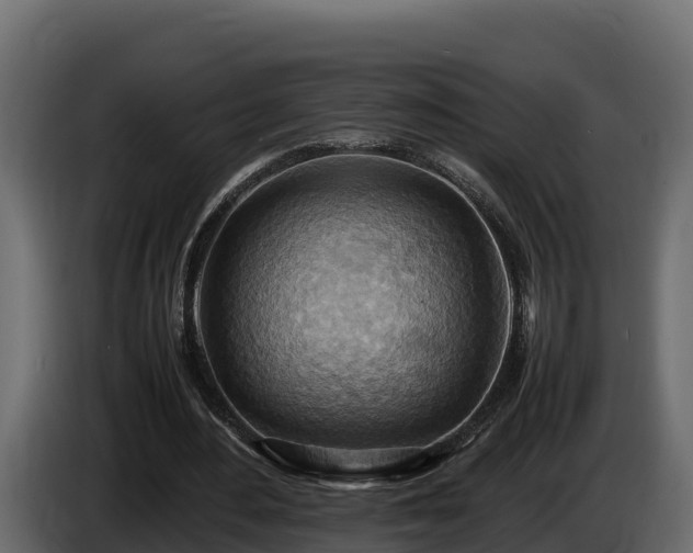 X0000085750484200703231136