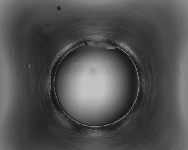 X0000085750486200703231136