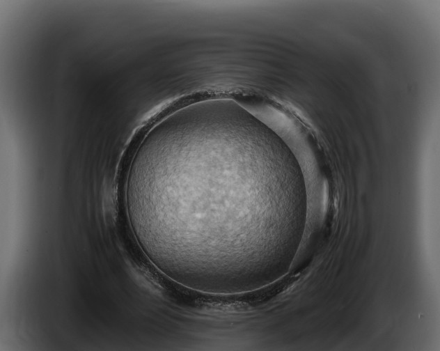 X0000085750488200703231136