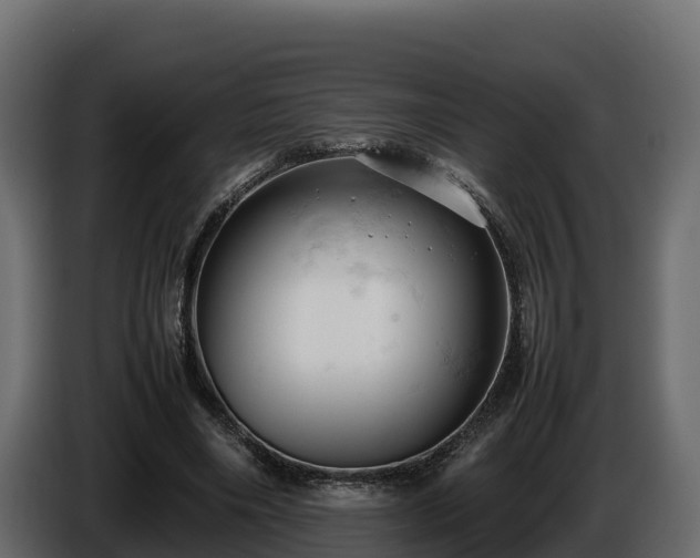 X0000085750490200703231136