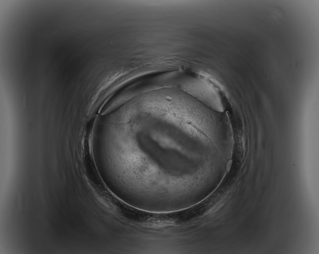 X0000085750491200703231135