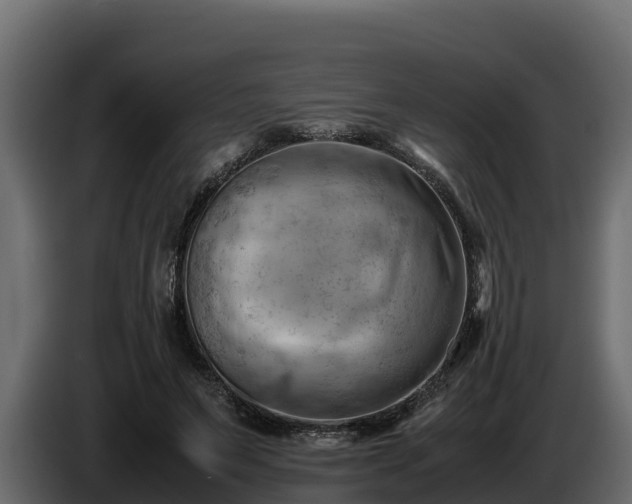 X0000085750495200703231135