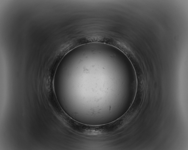 X0000085750498200703231135