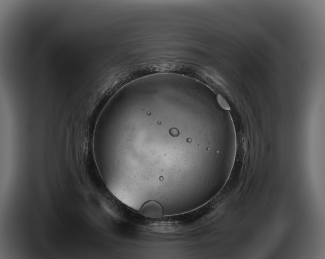 X0000085750499200703231135