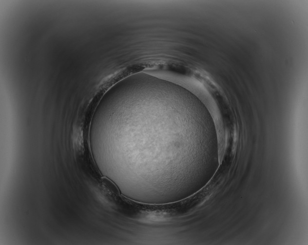 X0000085750500200703231135