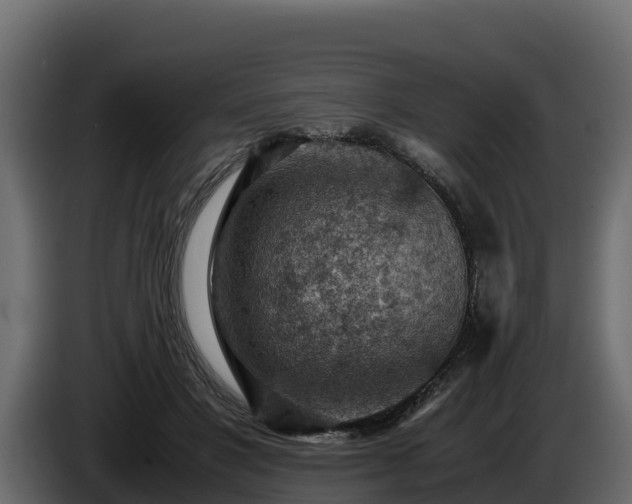 X0000085750501200703231135