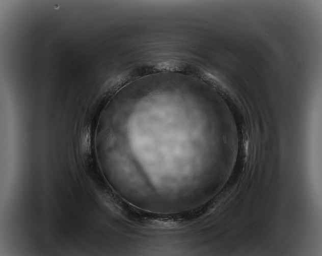 X0000085750502200703231135