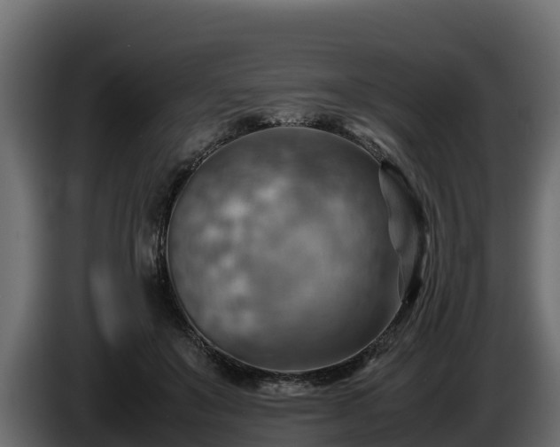 X0000085750503200703231135