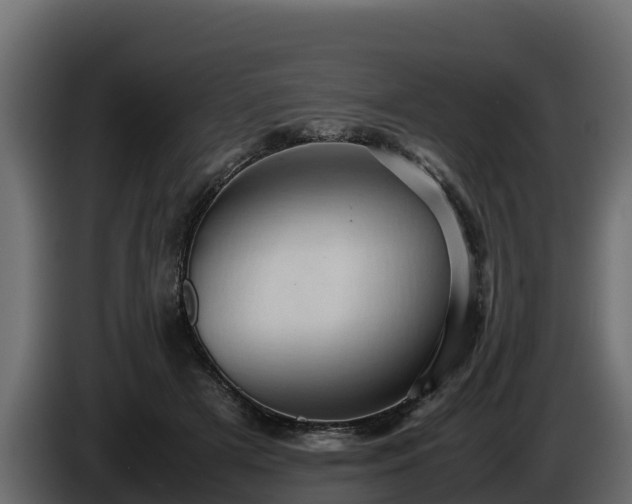 X0000085750505200703231135