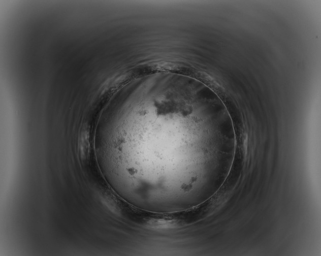 X0000085750506200703231135
