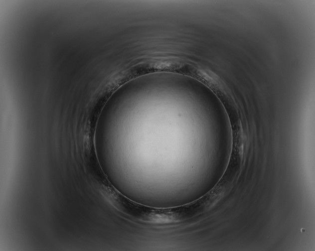 X0000085750510200703231135