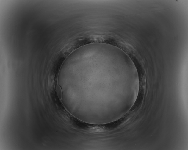 X0000085750511200703231135