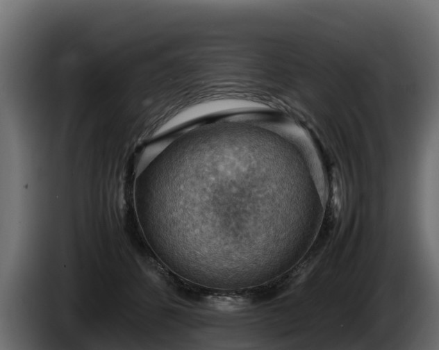 X0000085750512200703231135