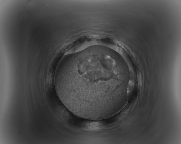 X0000085750513200703231135