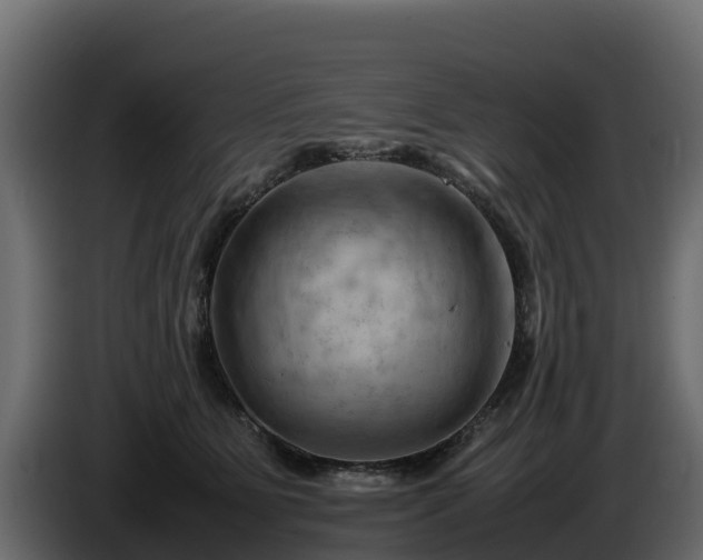 X0000085750515200703231135