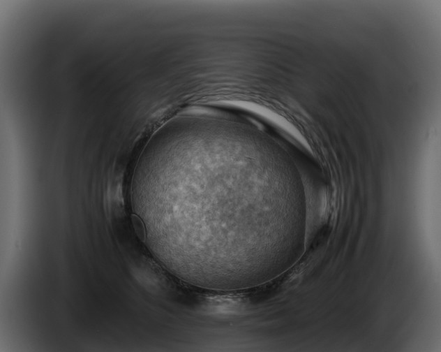 X0000085750516200703231135