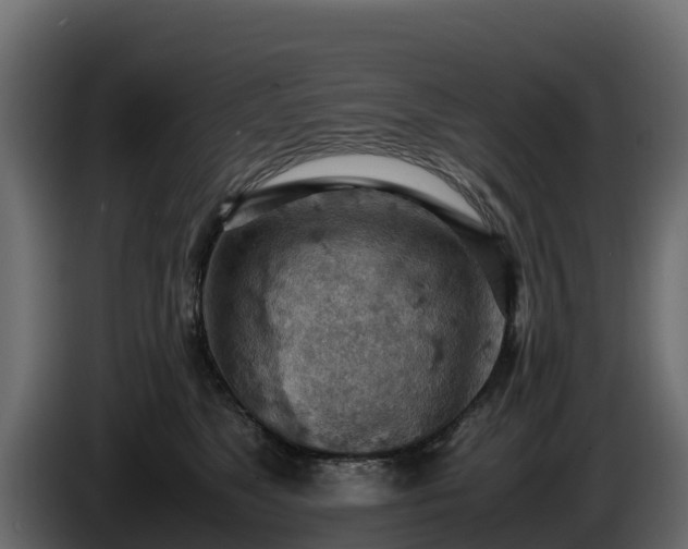 X0000085750517200703231135