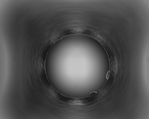 X0000085750518200703231135