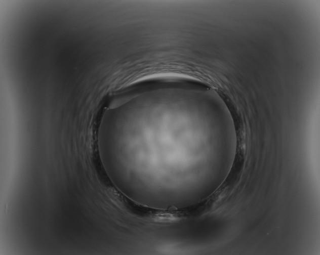 X0000085750519200703231135