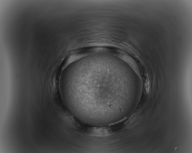 X0000085750520200703231135