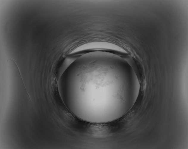 X0000085750521200703231135