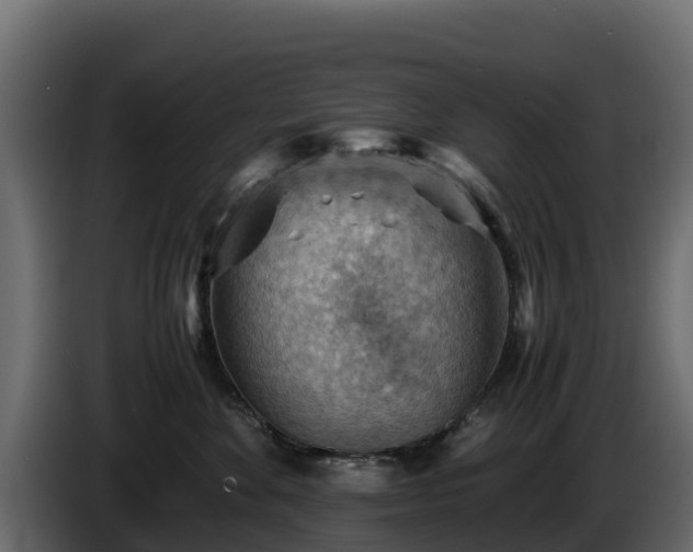 X0000085750524200703231135