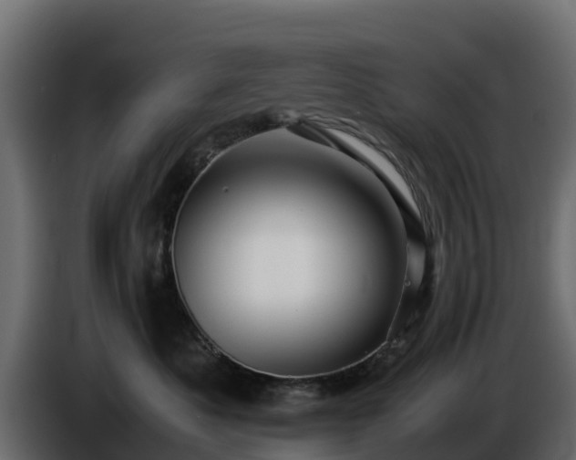 X0000085750525200703231135
