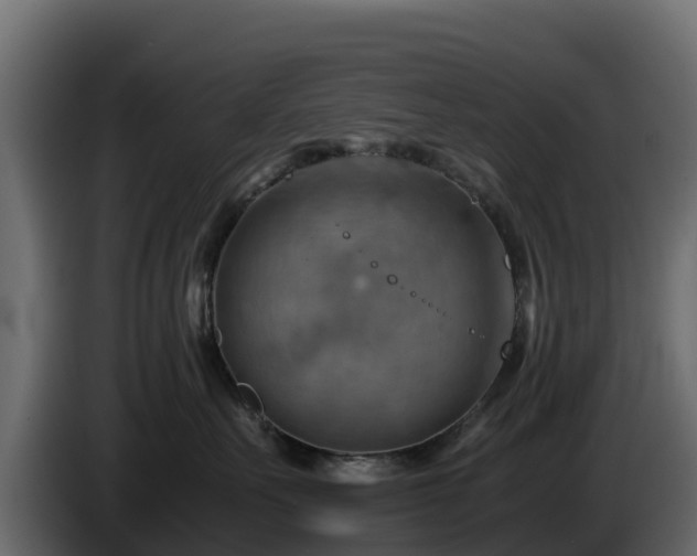 X0000085750527200703231135