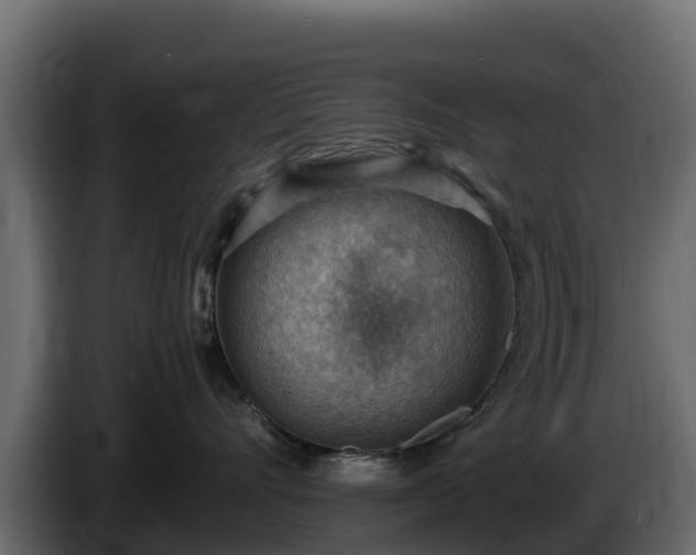 X0000085750528200703231135