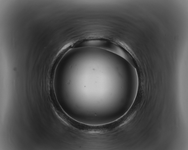 X0000085750530200703231134