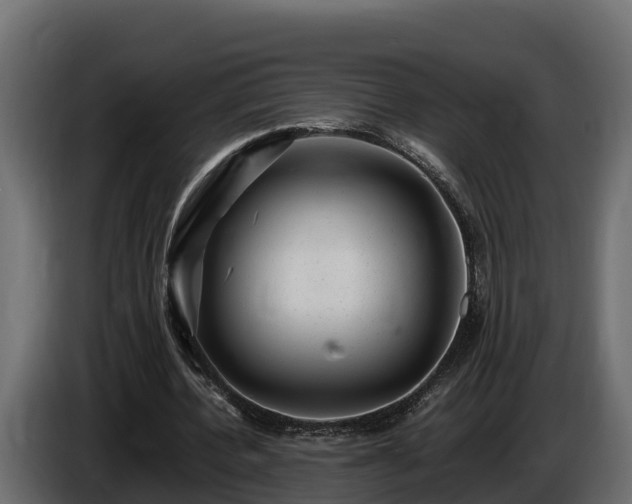 X0000085750532200703231134