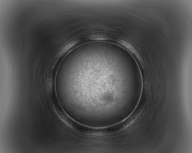 X0000085750533200703231134