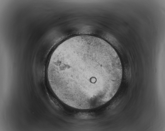 X0000085750534200703231134