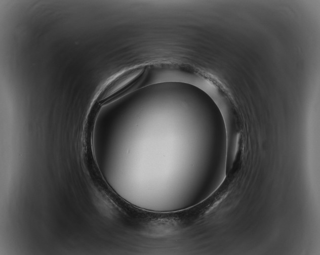 X0000085750536200703231134