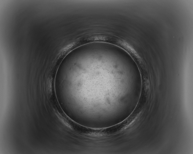 X0000085750537200703231134